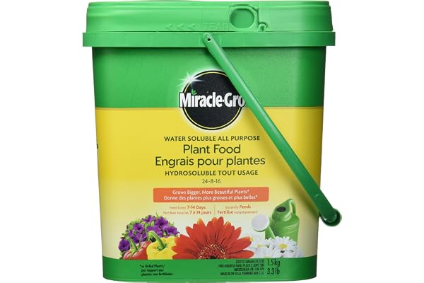 Miracle-Gro Water Soluble All Purpose Plant Food, 1.5kg | Instantly Feeds All Flowers, Veggies, Trees & Shrubs for Bigger, Mo