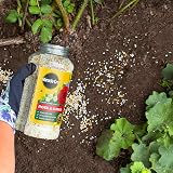 Miracle-Gro Premium Rose & Shrub Continuous Release Plant Food 900G view 4