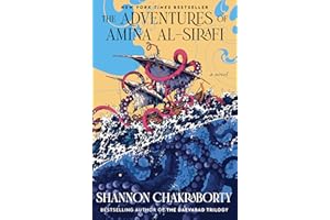 The Adventures of Amina al-Sirafi: A new fantasy series set a thousand years before The City of Brass