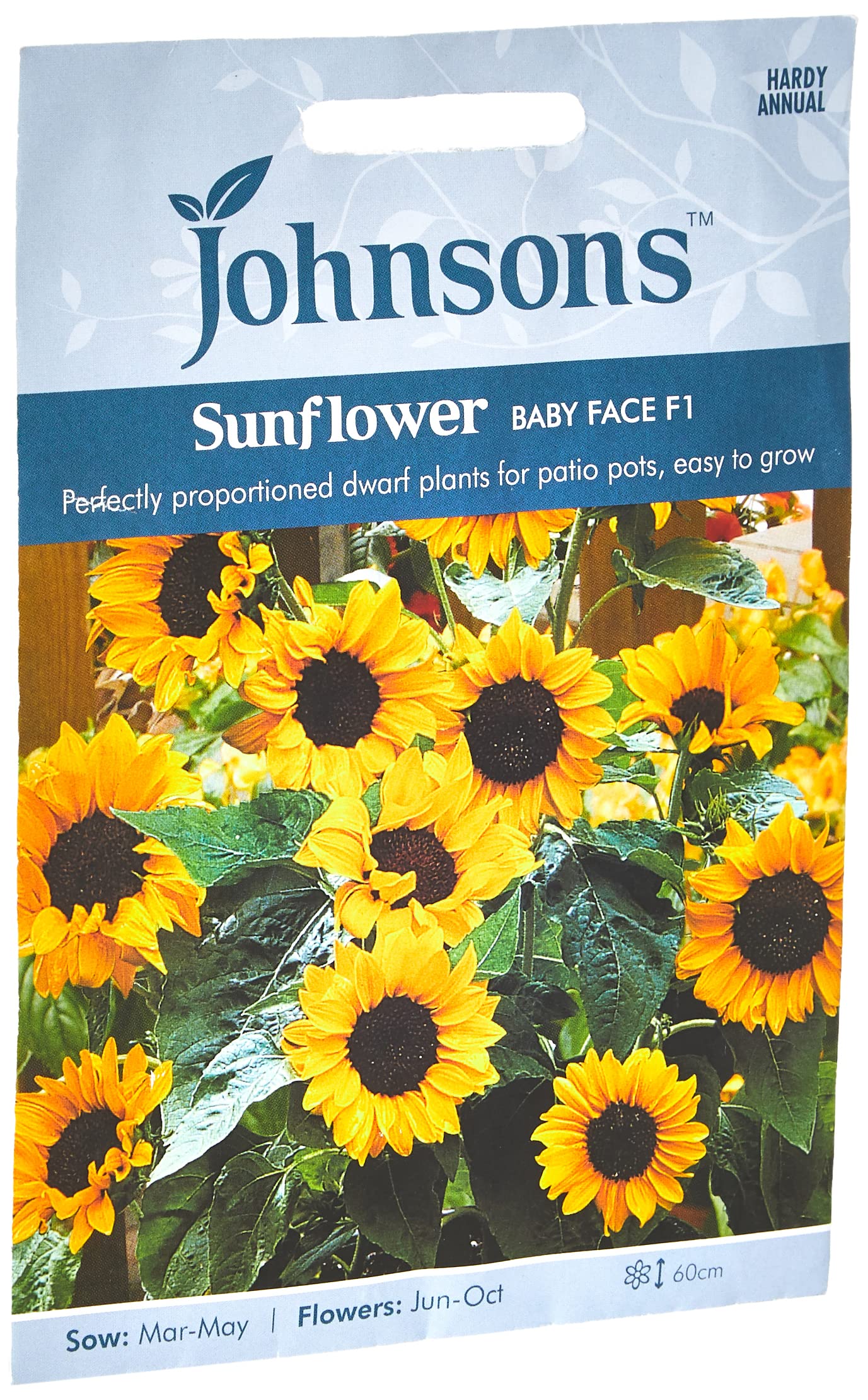 Johnsons 12258 Flower Seeds, Sunflower Baby Face F1, Yellow