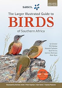 kindle best category lists