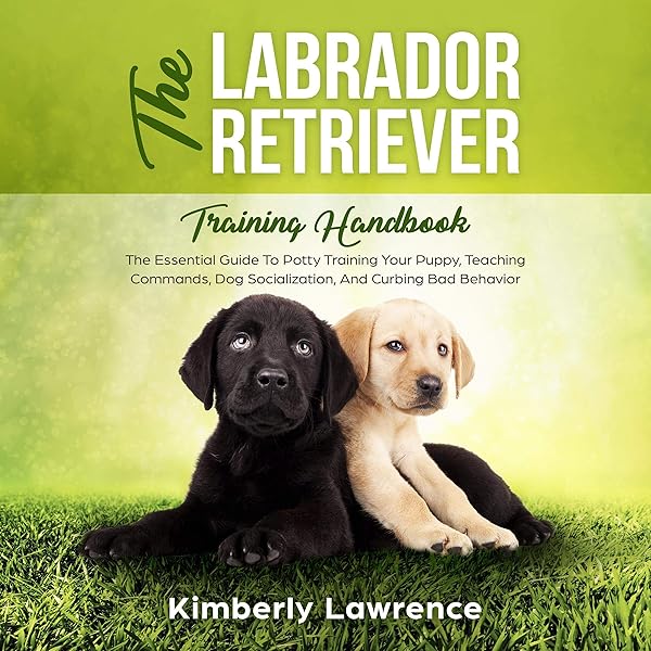 labrador retriever potty training