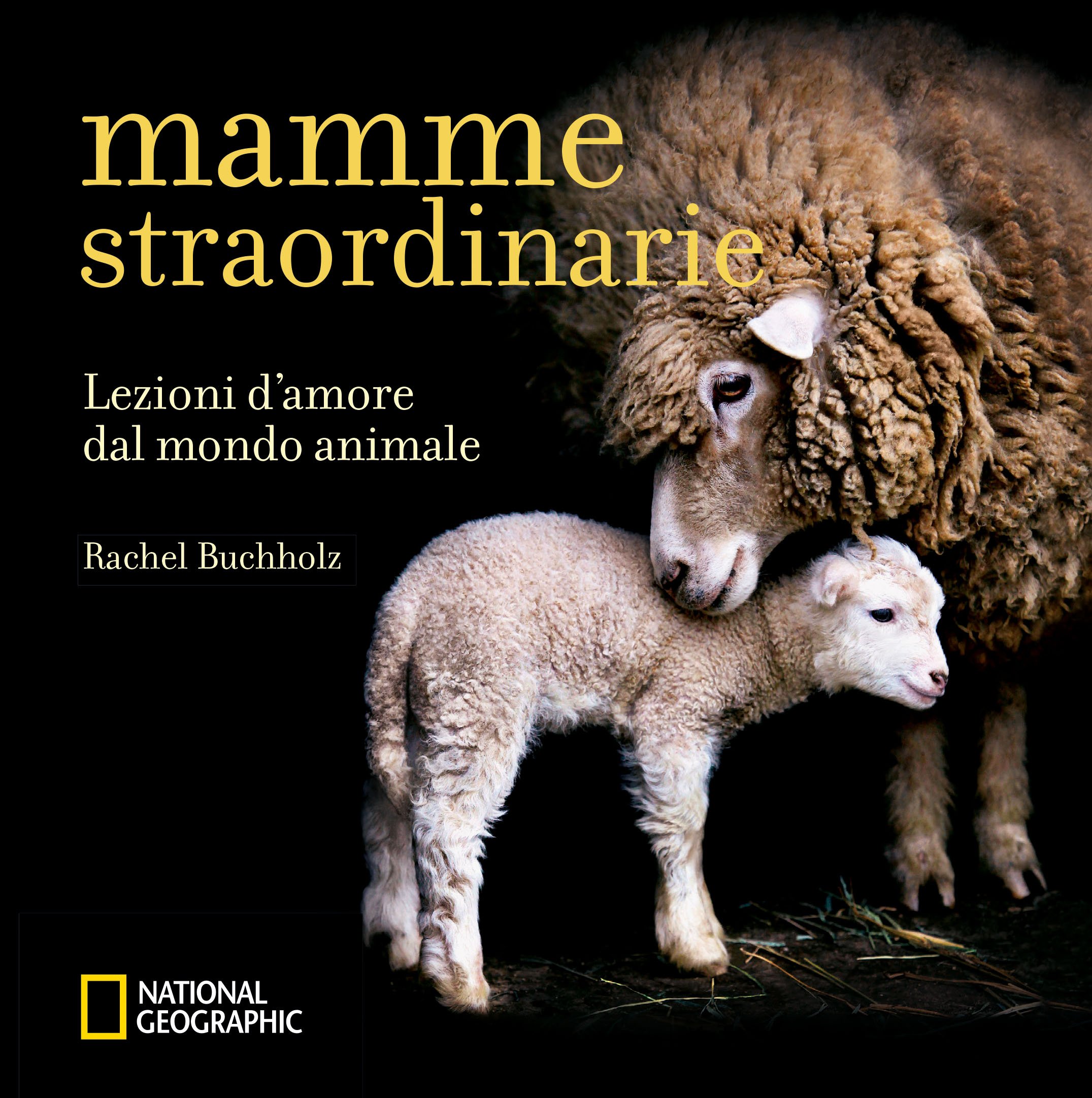 Mamme Straordinarie Lezioni D Amore Dal Mondo Animale Buchholz Rachel 9788854030770 Amazon Com Books