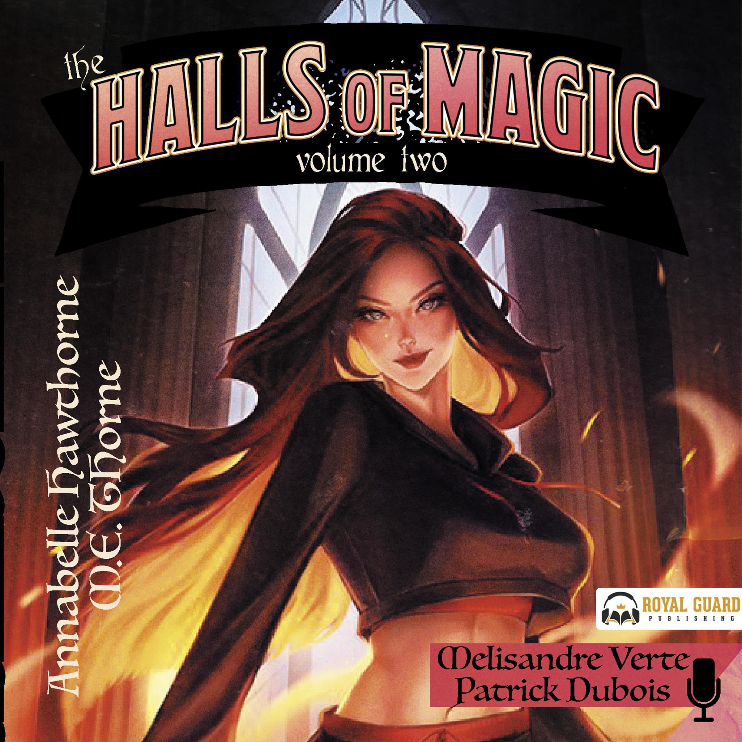 The Halls of Magic: Volume 2: A Fantasy Adventure for Men Image
