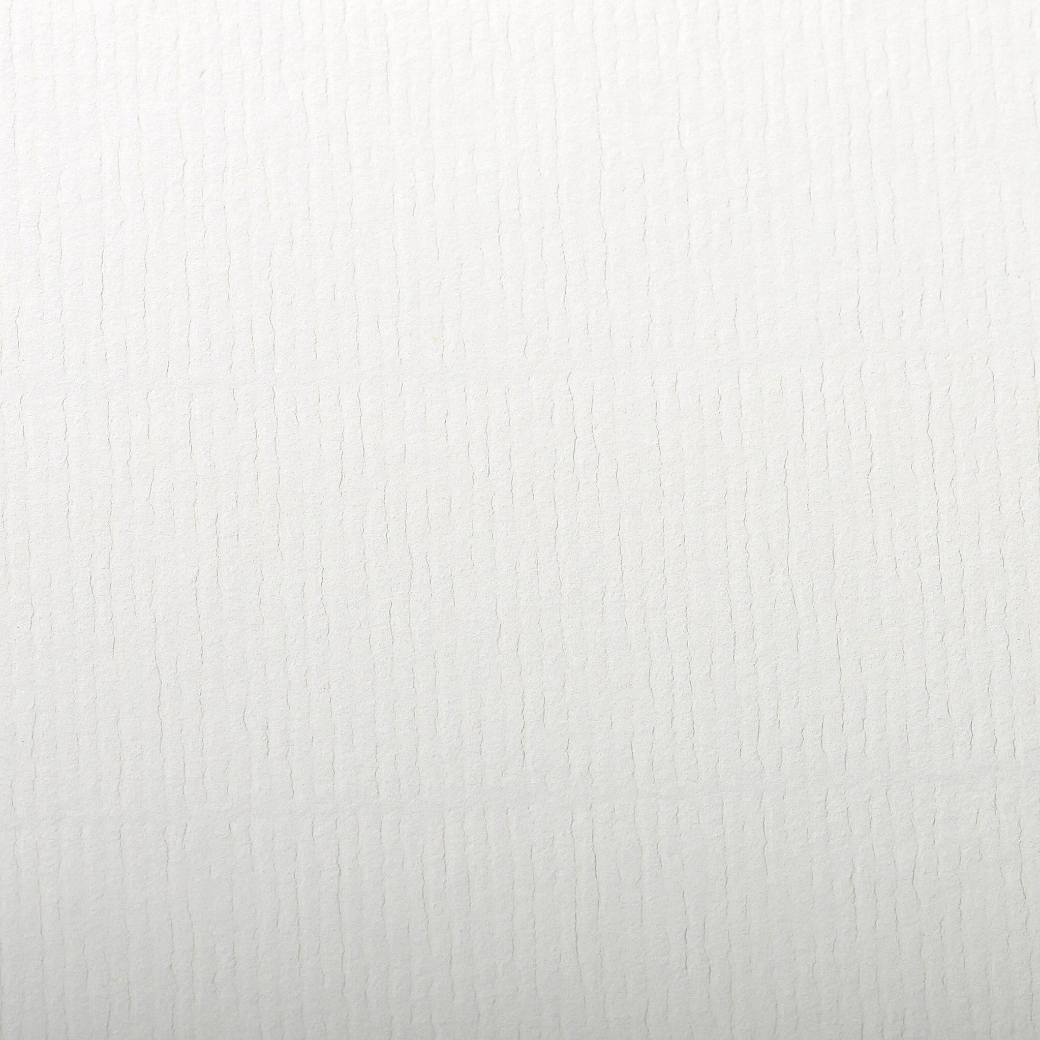 Clairefontaine - Ref 93480C - Ingres Pastel Coloured Paper (Pack of 25 Sheets) - 50 x 65cm, 130gsm Drawing Paper, White - Suitable for All Dry Techniques