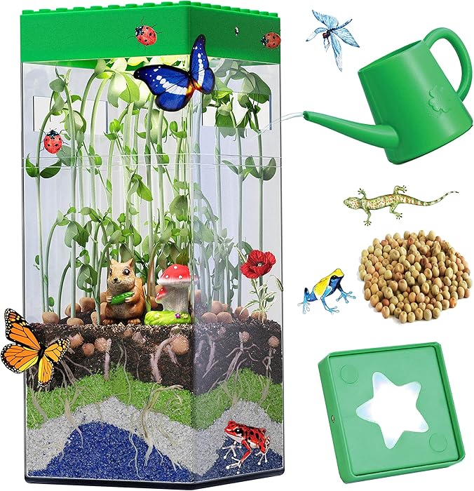 Heidi STEM Terrarium Kit for Kids and Adults Mini Vegetable Garden Microgreen Indoor Planting Kit Activities Biology Life Science Gift with LED Light