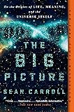 The Big Picture: On the Origins of Life, Meaning, and the Universe Itself