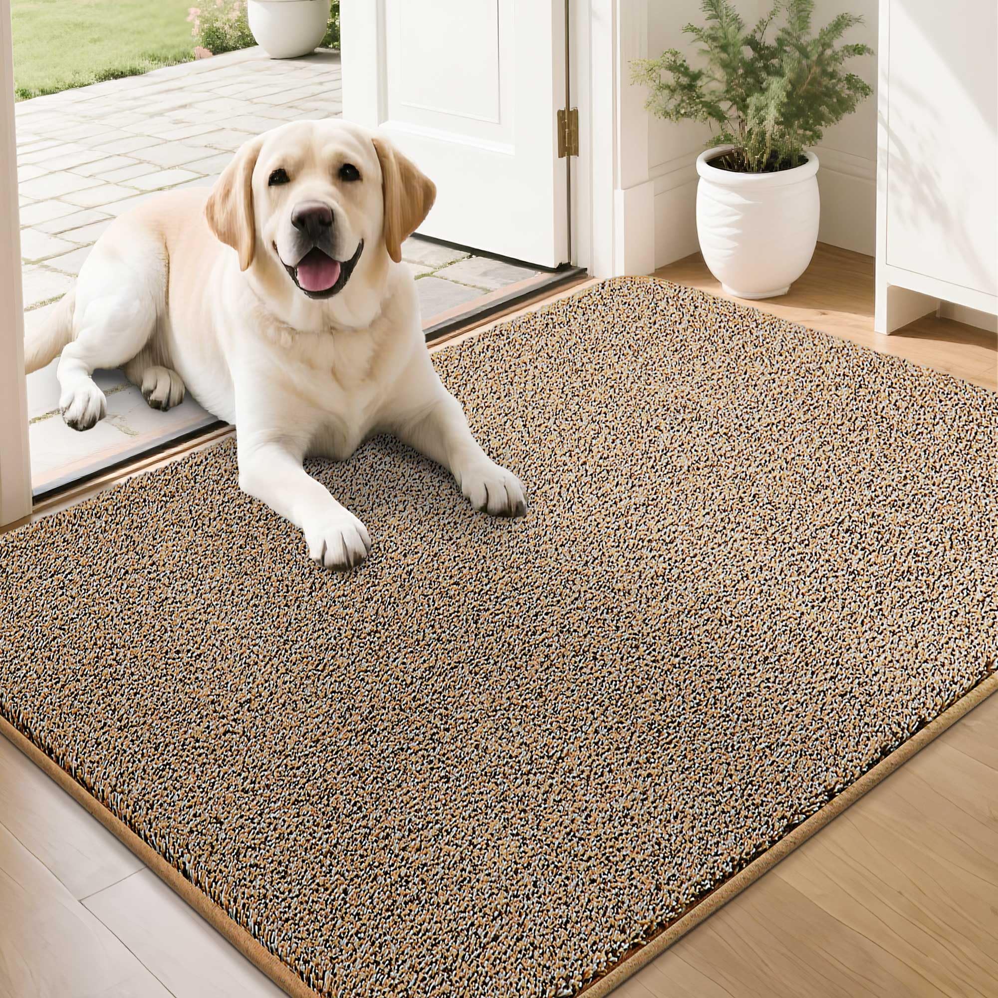 COSY HOMEER Nonslip Door Mats Indoor, 60 x 90cm Washable Dirt Trapper Welcome Front Doormat for Entryway Room Hallway, Absorbent Indoor Floor Mat for Muddy Shoes & Pets and Dogs, Beige