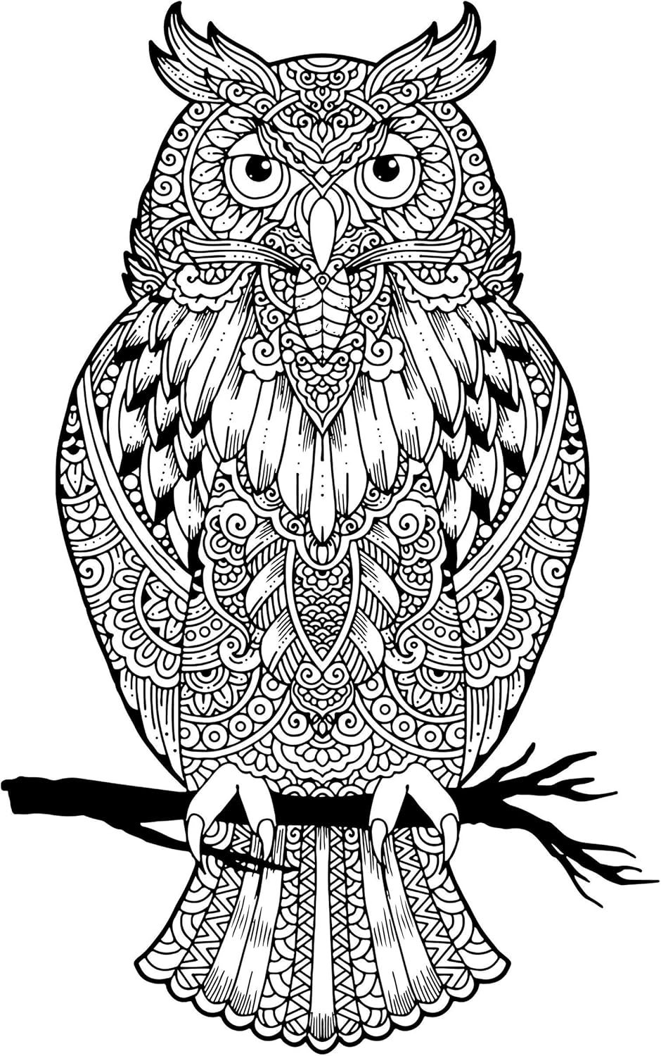 Paintings - Owl Adult Coloring, Stretched primed canvas to color, Size – 8 x 12 Inches