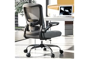 Ergonomic Office Chair - High Back Desk Chair with Adjustable Lumbar Support, Breathable Mesh Back, 330LBS Capacity, Easy Ass
