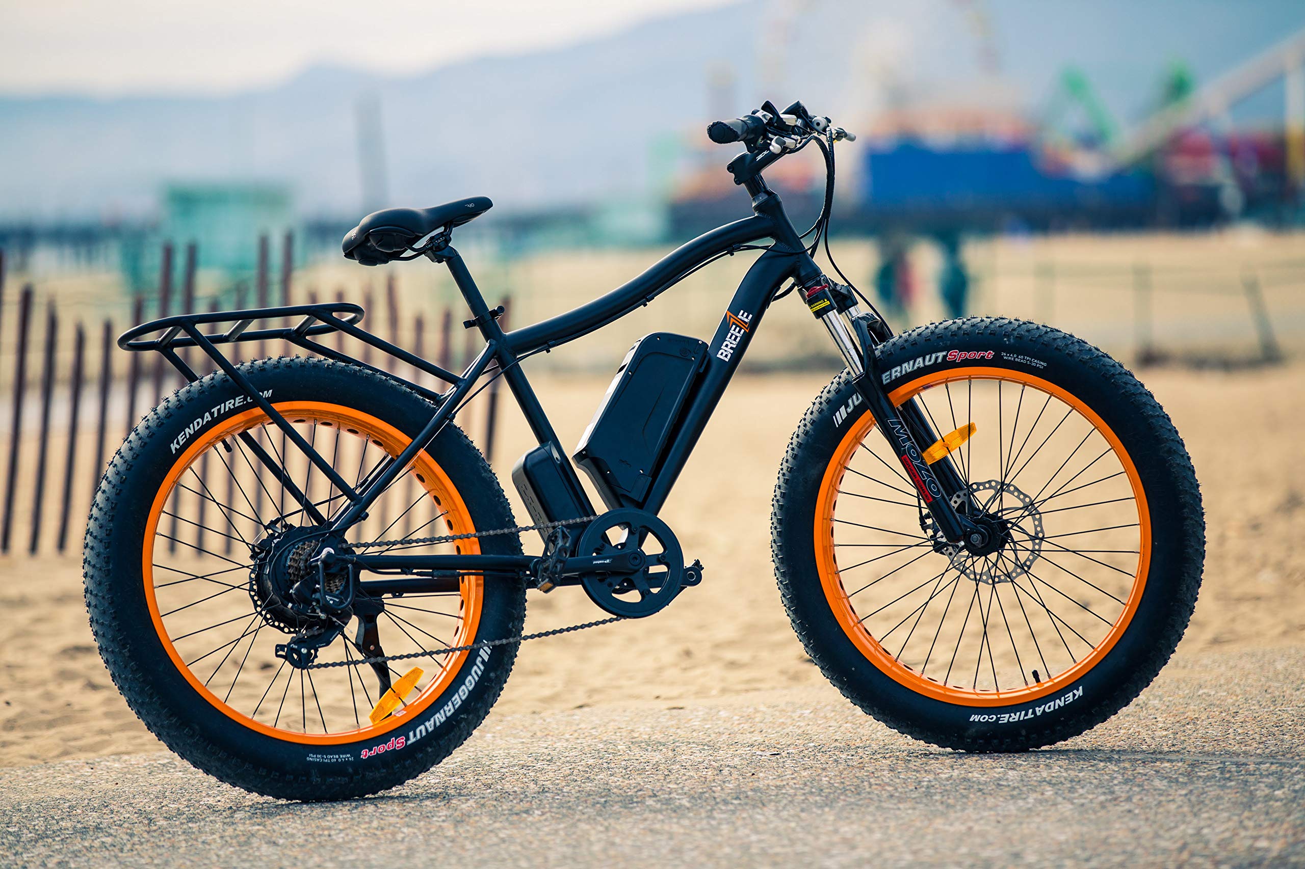 Breeze Electric Bike for Adults 750w 