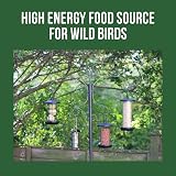 Honeyfield's Suet Balls for Wild Birds 50 Pack High Energy Fat Balls view 7