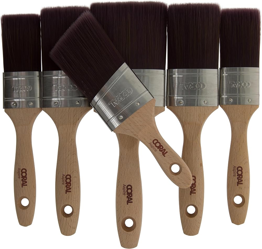 CORAL Coral 31749 Aspire 6 Piece Oval Paint Brush Set 1.5