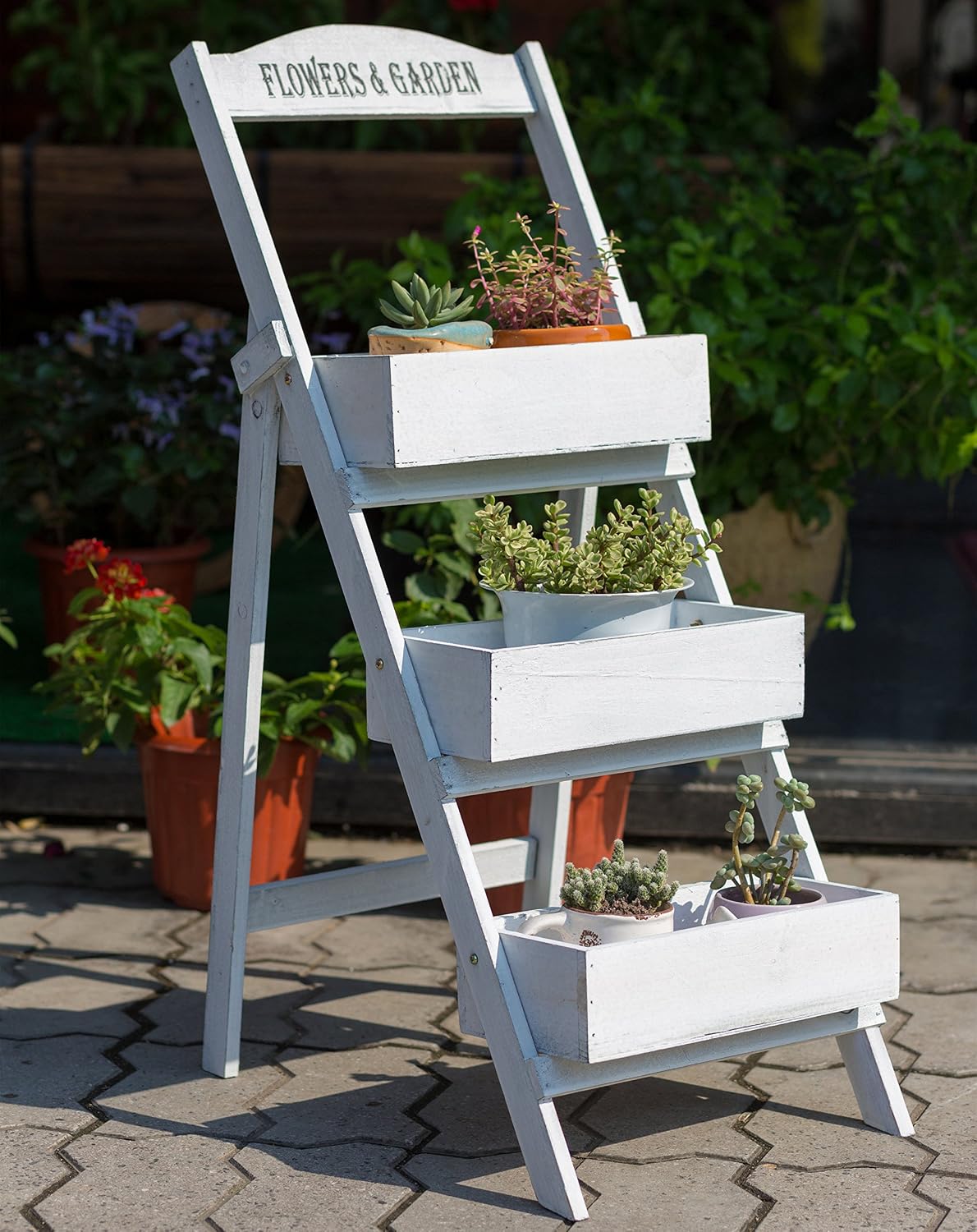 Flor plataforma escaleras Blumenetagere tres etapas flores ...