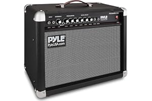 Portable Electric Guitar Amp, 40 Watt Amplifier with Delay, Volume, Bass, Middle, and Treble Controls, Output and Headphone J