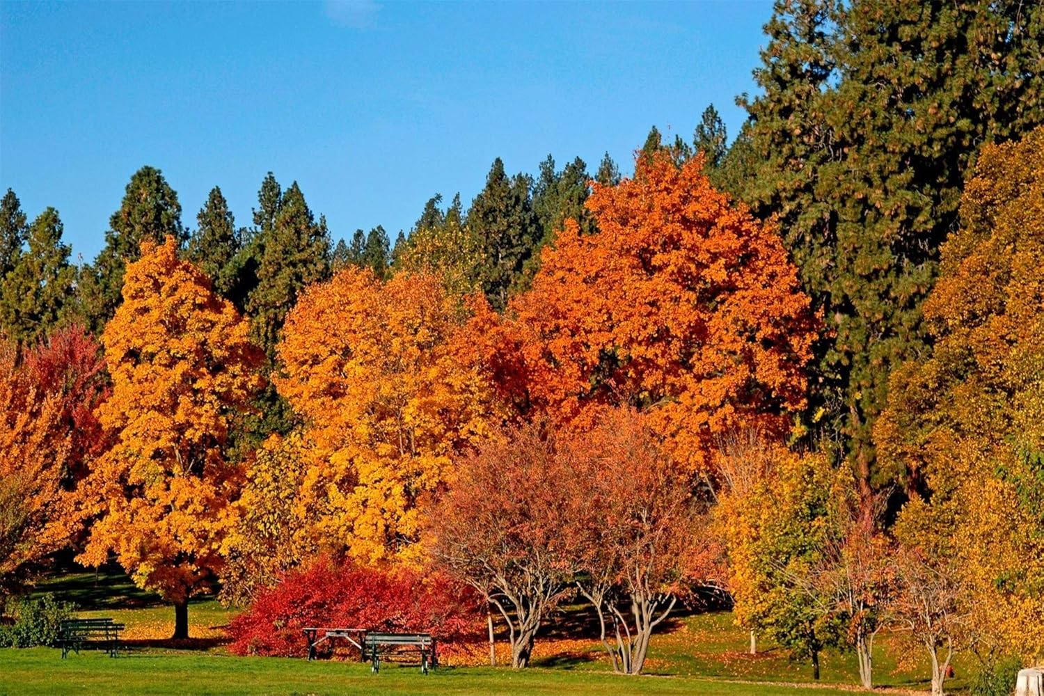 HHYSPA DIY Malen nach Zahlen für Erwachsene Kinder
