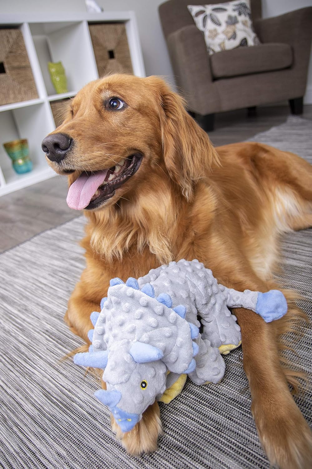 Pet Supplies : Pet Chew Toys : goDog Dinos Triceratops With Chew Guard Technology Tough Plush Dog Toy, Grey, Large : 