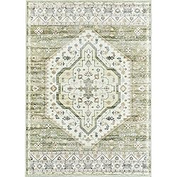 Area Rugs for Living Rooms - 5x7, Boho Non-Slip Low