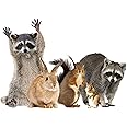 LENA FIORE’ INC Woodland Animals Window Decal Cling - Raccoon & Friends Vinyl Sticker
