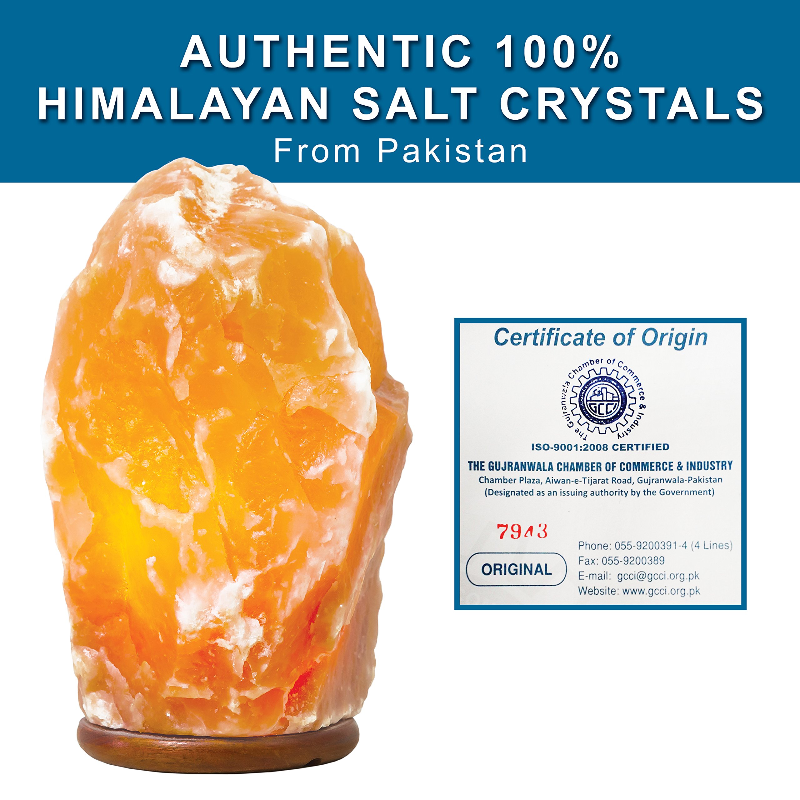 LARGE Dimmable Himalayan Salt Lamp Natural Hand Carved 100 Authentic