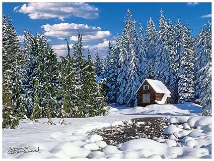 Amazon Com Cabin In Mt Hood National Forest Oregon Photo Art