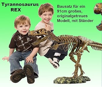 XL Tyrannosaurus Rex Esqueleto