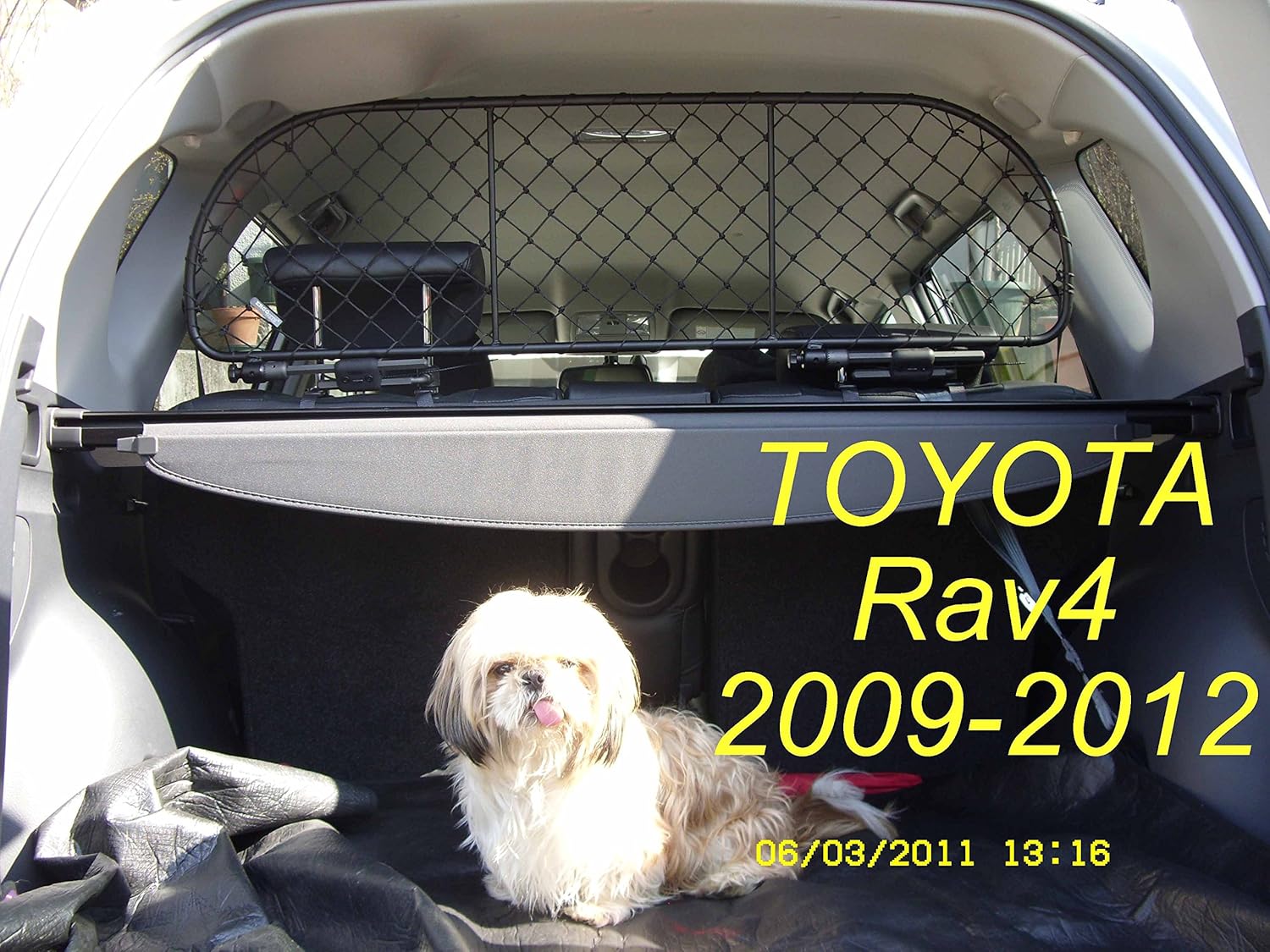 toyota rav4 dog guard