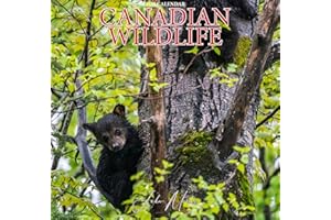 2025 Canadian Wildlife Large 12x23.5" Wall Calendar by John Morris | Canadian Animals