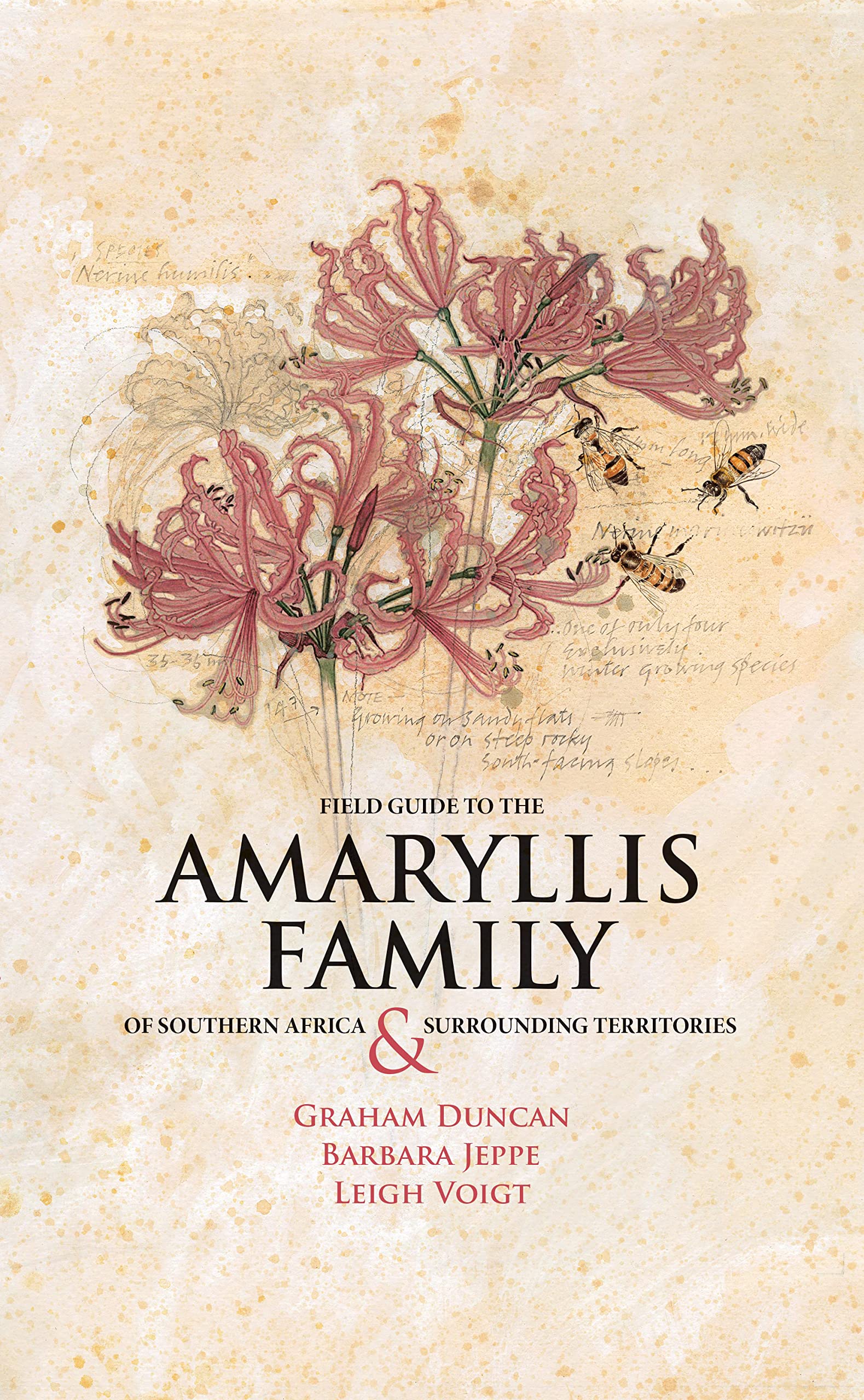 Amazon Field Guide To The Amaryllis Family Of Southern Africa Surrounding Territories Duncan Graham Jeppe Barbara Voigt Leigh Plants