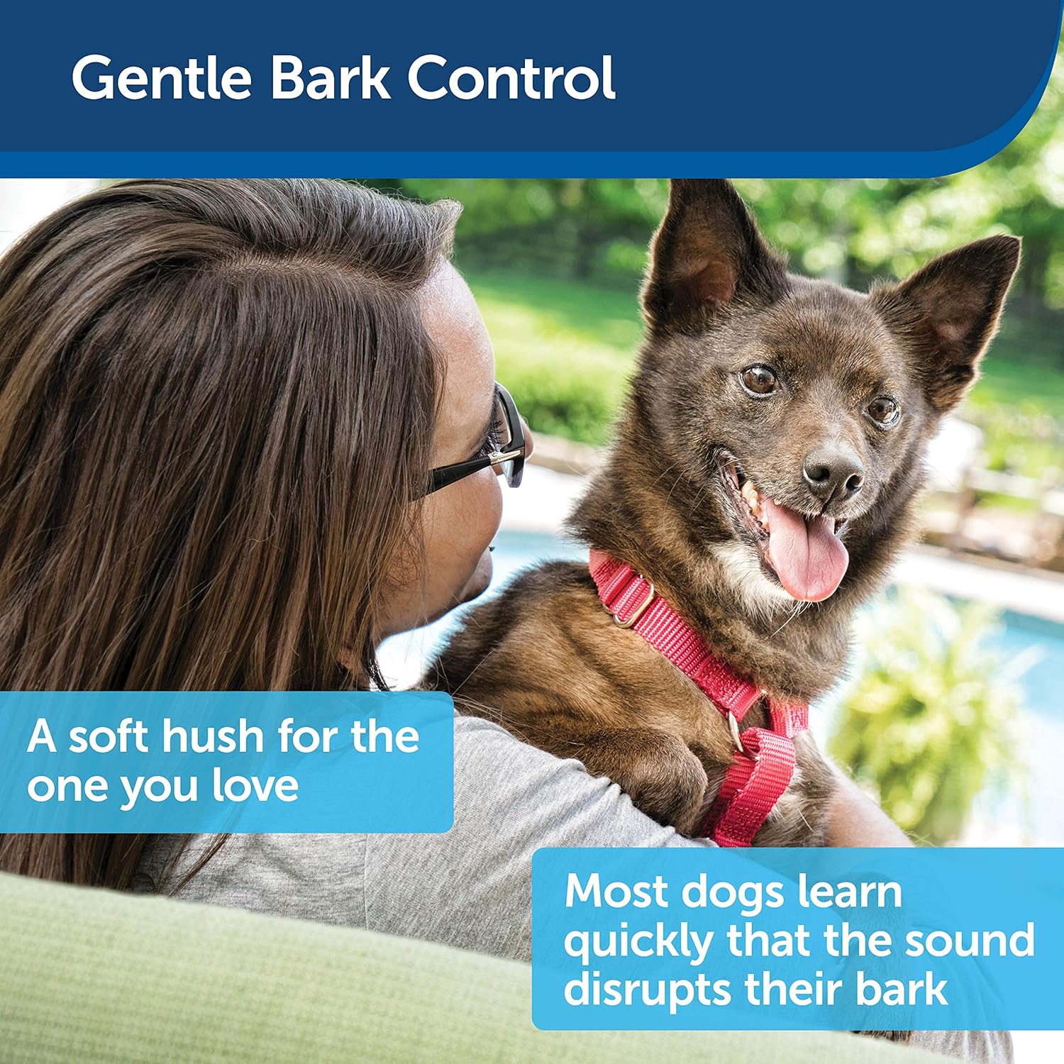 PetSafe Outdoor Ultrasonic Bark Deterrent, Up to 50 ft. Range, Outdoor Use Only, No Collar Needed : Sonic Barking Deterrents : Pet Supplies