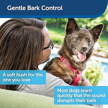 dog bark birdhouse home depot