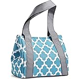 fit n fresh lunch bag