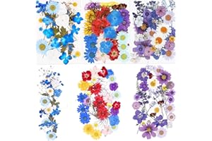 BIHRTC 100PCS Dried Pressed Leaf Flowers Natural Pressed Dry Leaves Sunflowers Chrysanthemum Daisy Flowers for Craft Resin Jewelry Making Soap and Candle Making DIY