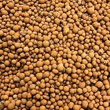 bhomescent LECA Clay Pebbles 1L for Hydroponics, Orchids, Pots view 3