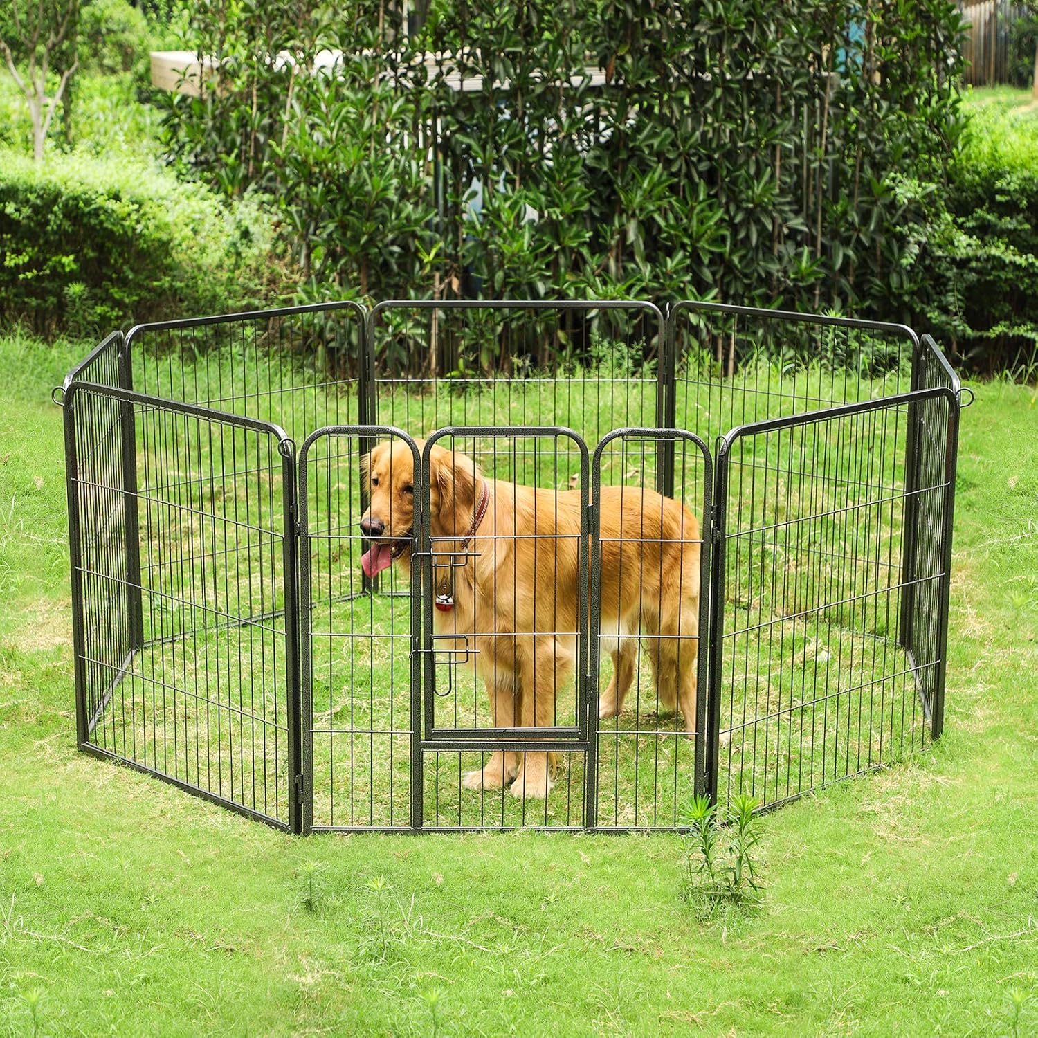 Como Proteger Puertas De Arañazos De Perros