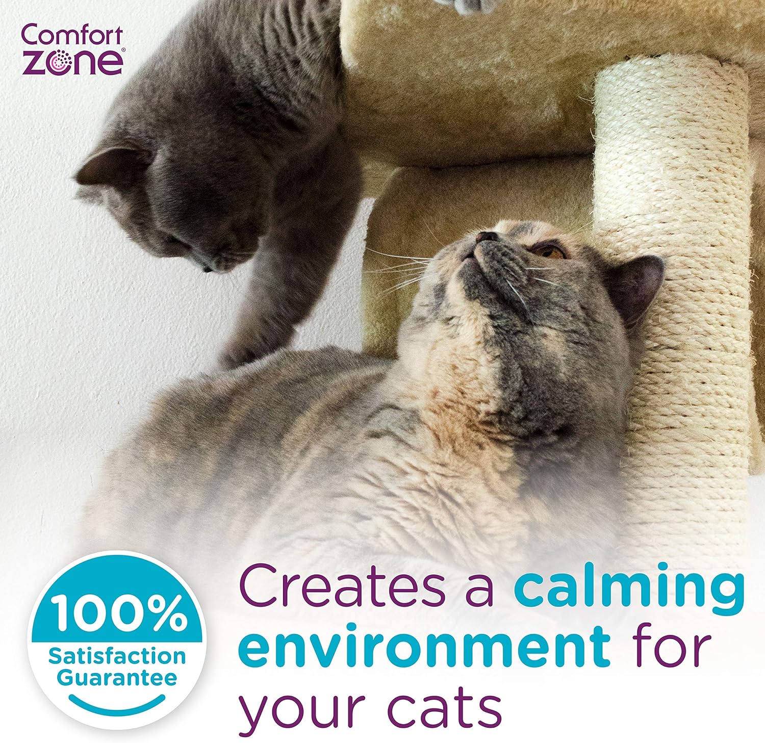 Comfort Zone MultiCat Calming Diffuser Kit, Cat Pheromone 3 Diffusers and 6 Refills-48ml, New Formula : Pet Supplies