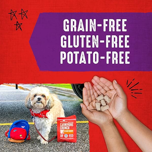 STELLA & CHEWY’S FREEZE-DRIED RAW DOG TREATS – CARNIVORE CRUNCH FOR TRAINING – NATURAL LIMITED INGREDIENT, GRAIN-FREE – PERFECT FOR PICKY EATERS – TURKEY RECIPE – 3.25 OZ BAG