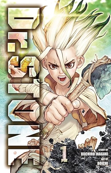 Dr Stone Vol 1 Volume 1 Stone World Inagaki Riichiro Boichi Amazon Com Au Books