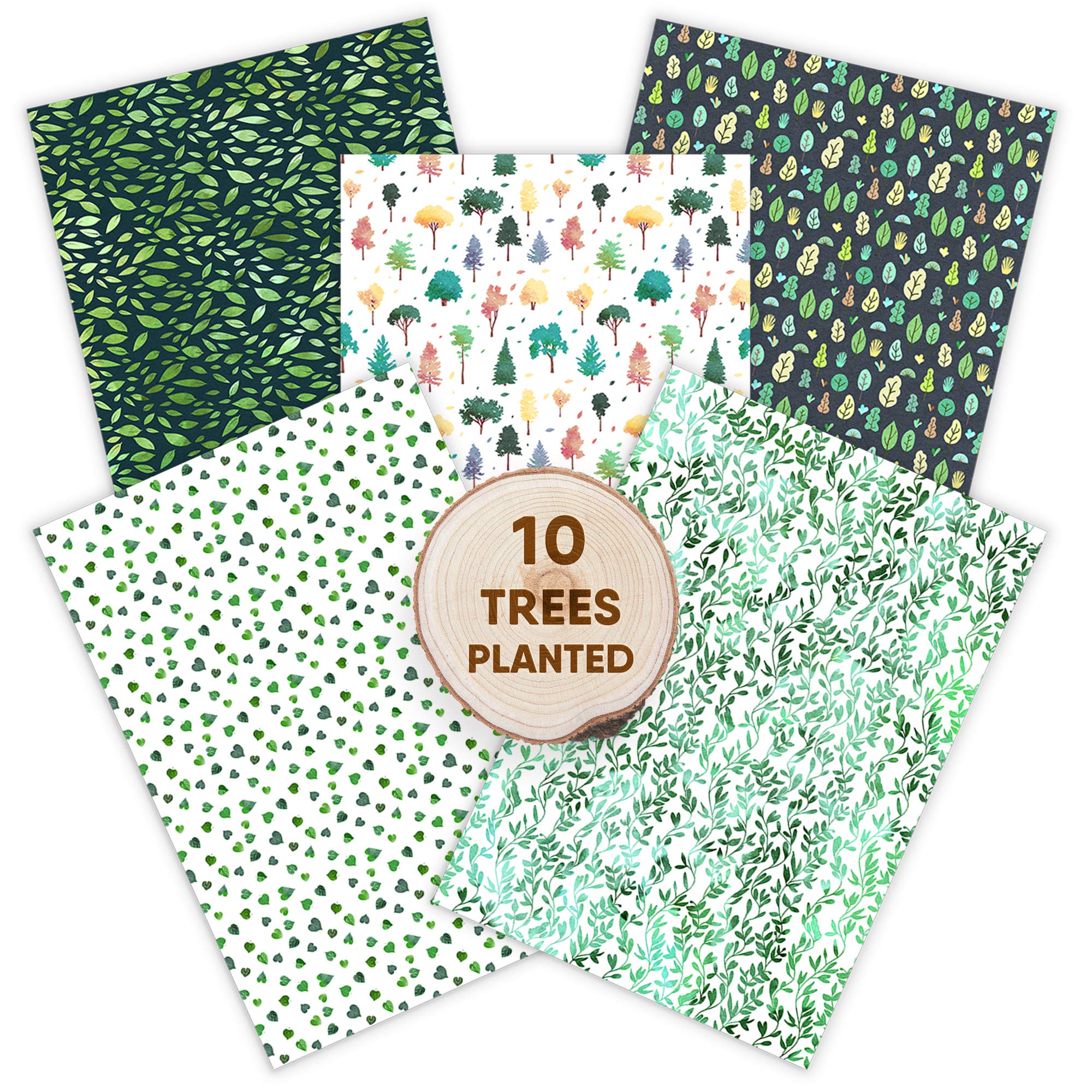 Tree Planting Recycled Wrapping Paper Sheets | 10x Eco Wrapping Paper with Seed Paper Tags | Plastic Free Wrapping Paper Set | Recyclable Gift Wrapping for Sustainable Gifts | 1 Tree Cards