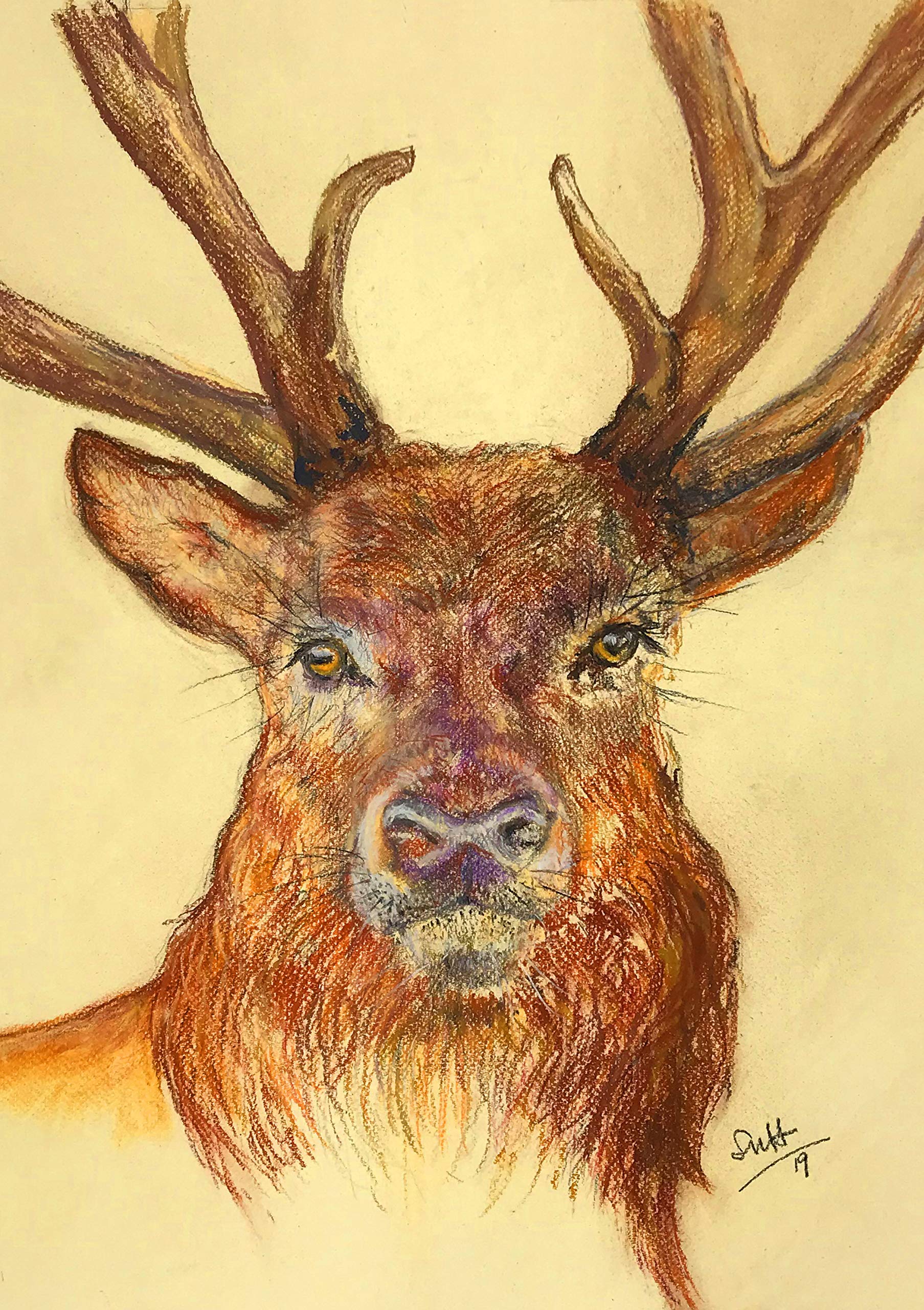 Farm Cottage Brands Red Deer Stag’s Head and Antlers Greeting Card, blank inside for your own message and supplied cellophane wrapped with an envelope thank you, invitation (FCB004)