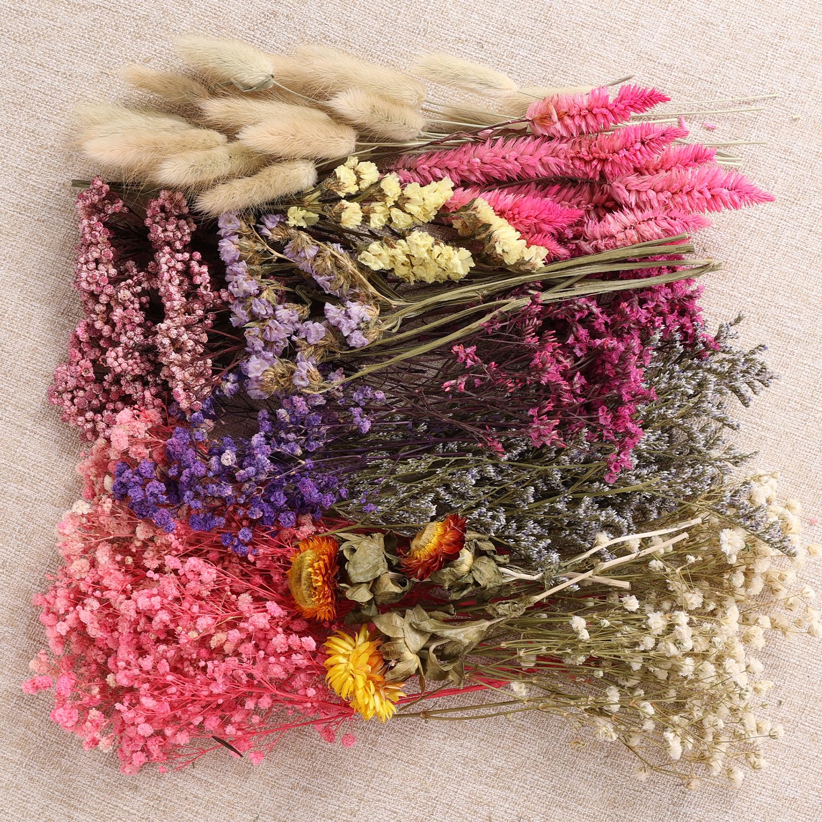 Photo 1 of 11 Kinds of Dried Flowers for Crafts Bulk DIY Natural Multi-color Dried Pampas Grass Lavender Forget Me Not Babys Breath with Stems Dry Flower Bouquets with Hemp Rope for Home Decor Floral Arrangement