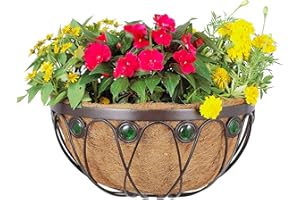 ARCADIA GARDEN PRODUCTS Arcadia Emerald Series Wall Manger Planter, 16-Inch