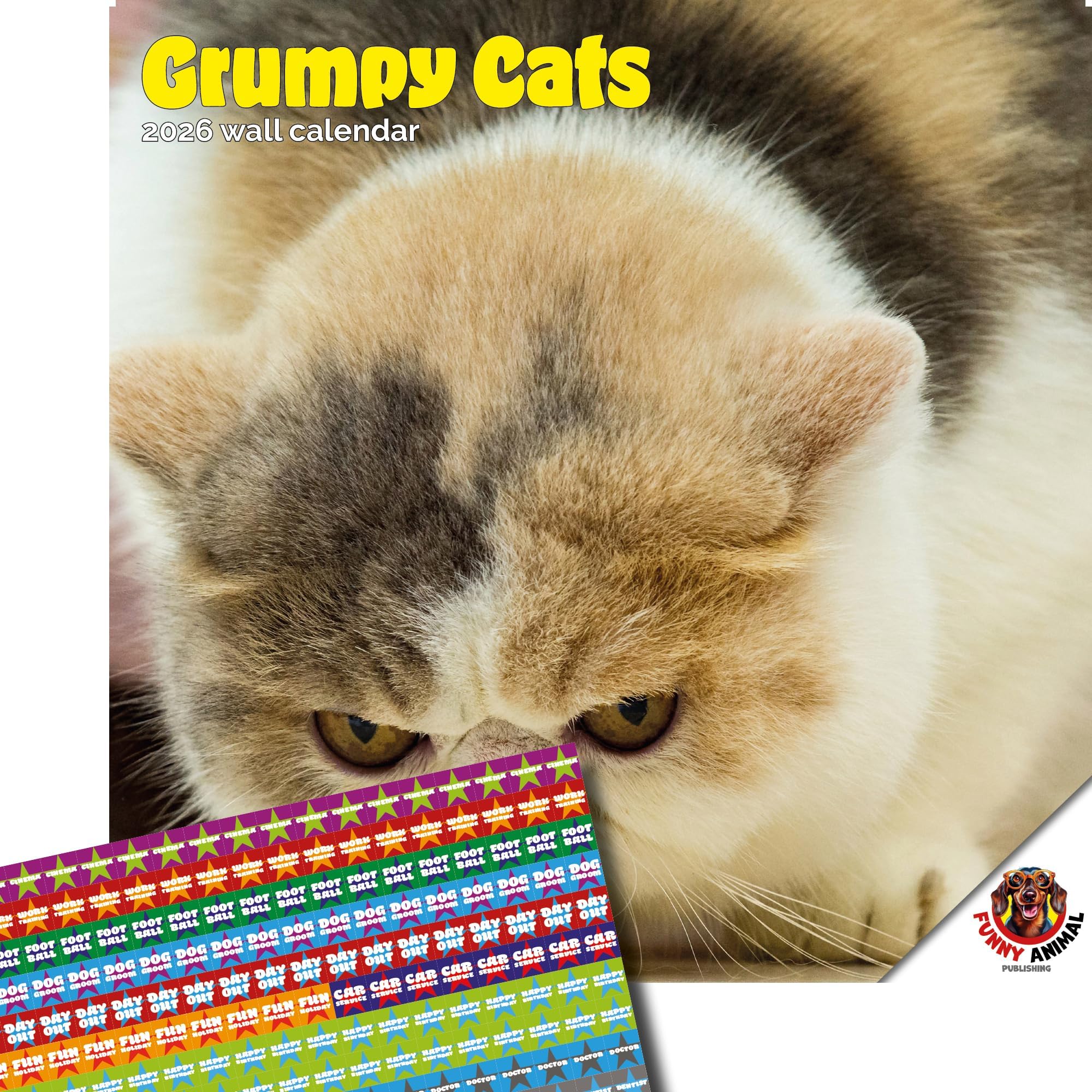 Dayplanner Publishing Grumpy Cats Calendar 2026, Large Square Wall Calendar With Organisational Stickers, 16 Month, Grumpy Cats Gift Animal Calendar