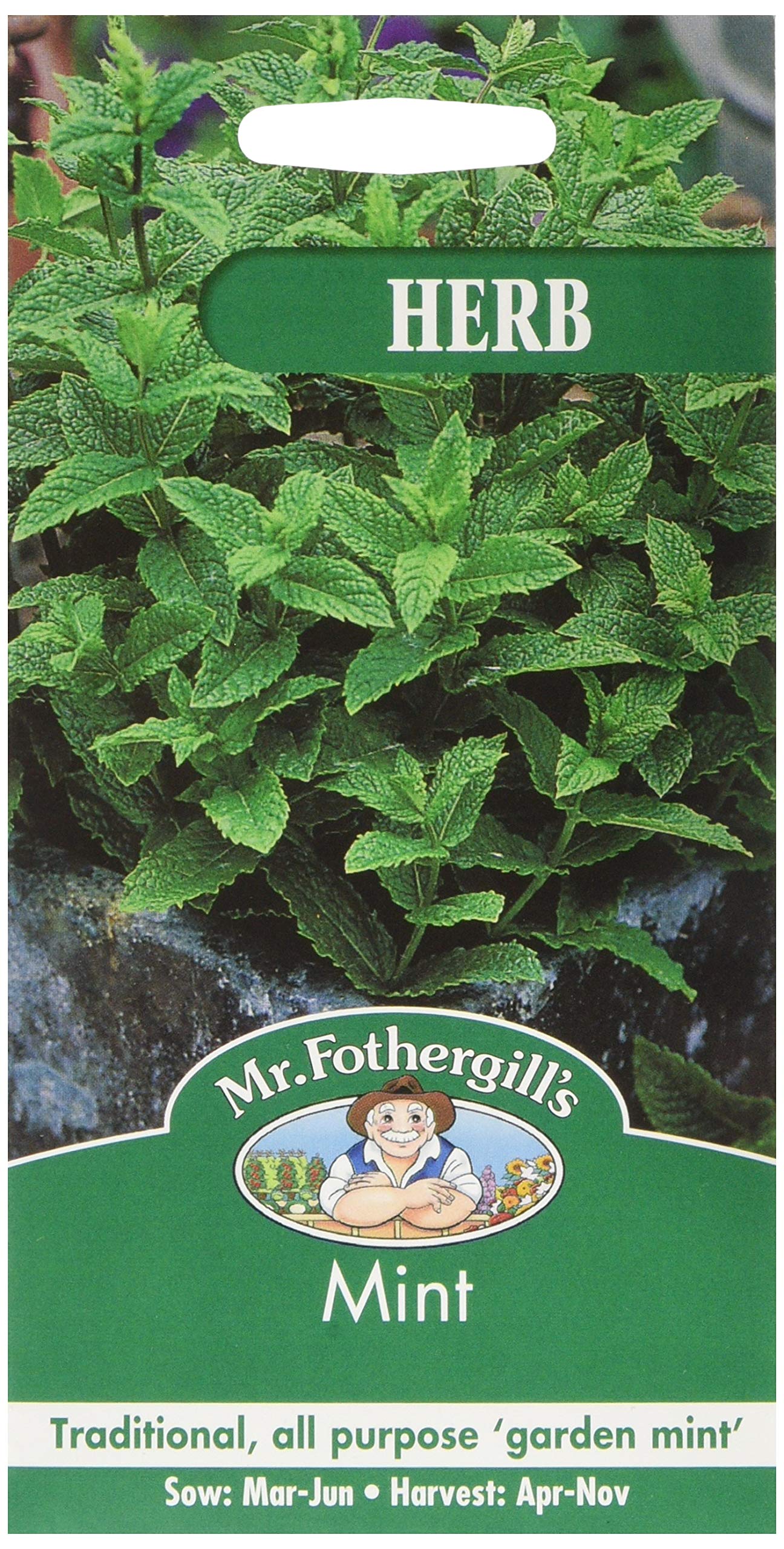 Mr Fothergill's Mint