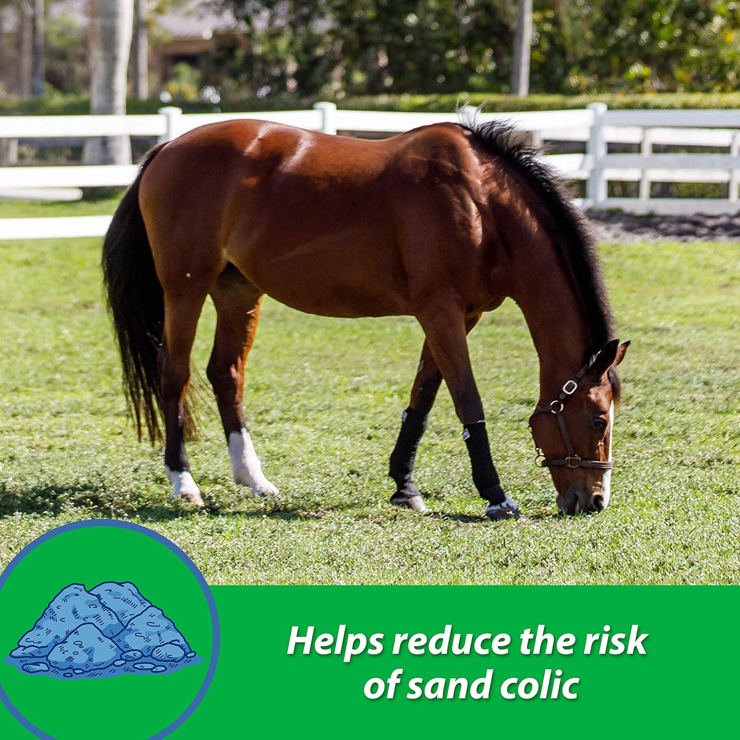Farnam Sand Clear Digestive Aid for Horse, 20-Pound (10220) : Horse Nutritional Supplements And Remedies : Pet Supplies