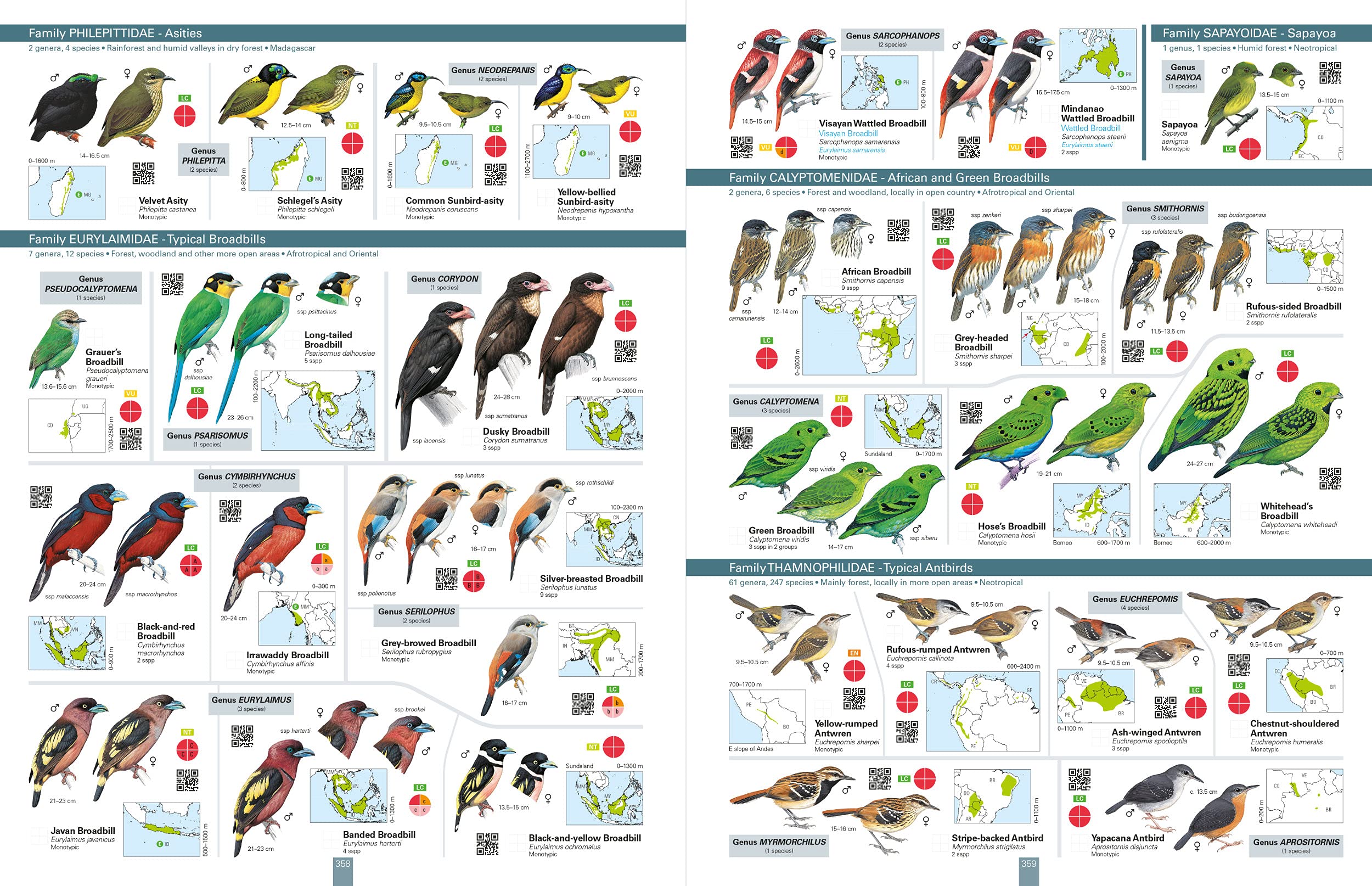all birds of the world