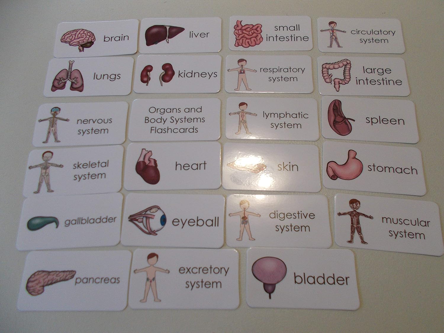 Body parts flashcards consigue el mejor cuerpo