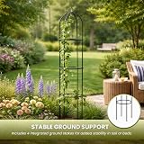 Garden Mile 2x Large 2m Metal Garden Obelisk Plant Cage Climbing Support view 8