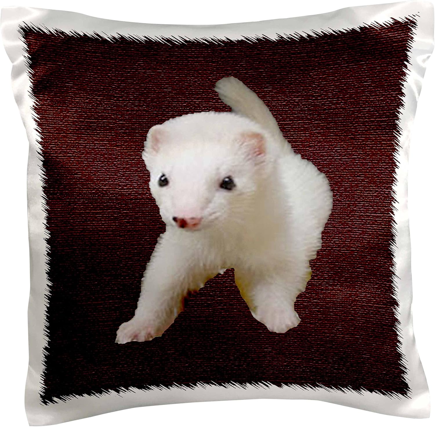 buy baby ferret