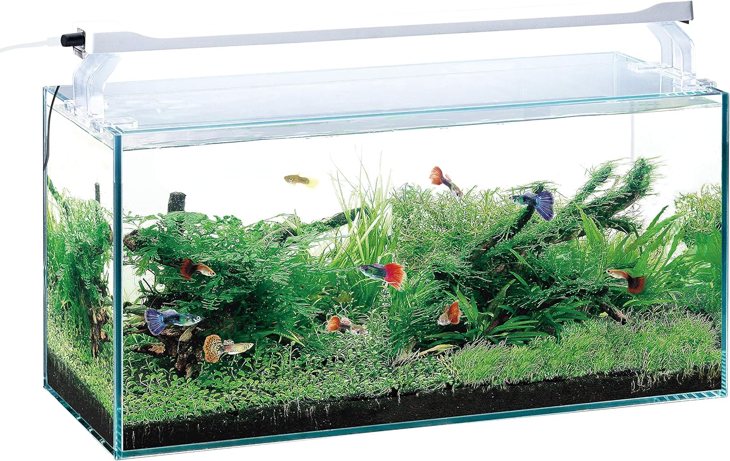 Amazon ジェックス クリアled Power Slim 450 ホワイト 観賞魚用 45cm水槽用 奥行スリム5cm ジェックス ペット用品 通販